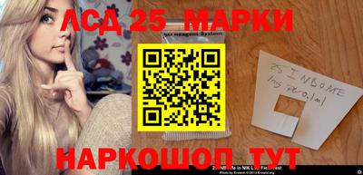 метадон Сланцы
