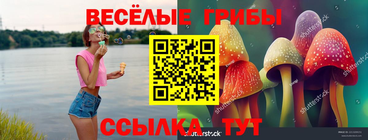 Сальск  Галлюциногенные грибы прущие грибы  Вход с VPN  магазин  наркотиков  Псилоцибиновые грибы Magic Shrooms 